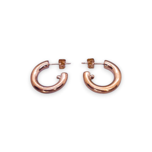 Gold Tone Classic Earrings