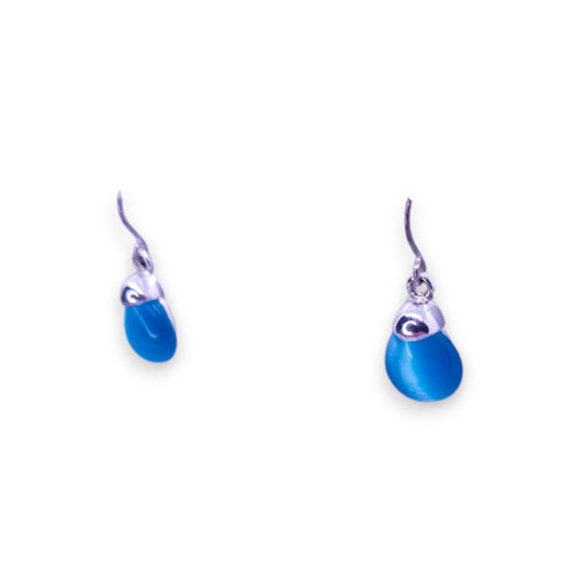 Silver Tone Blue Stone Classic Earrings