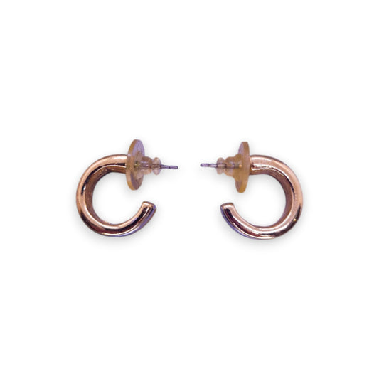 Gold & Silver Tone Classic Earrings