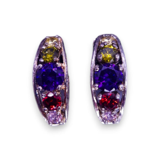 Silver Tone Multi Colour Stones Classic Earrings
