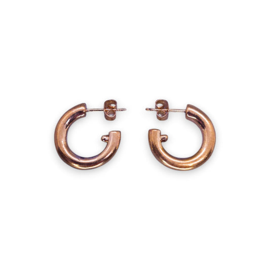 Gold Tone Classic Earrings
