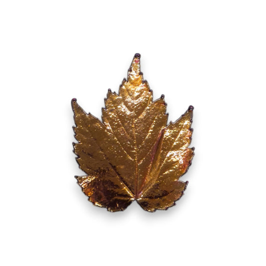 Resin Nature Inspired Leaf Brooch