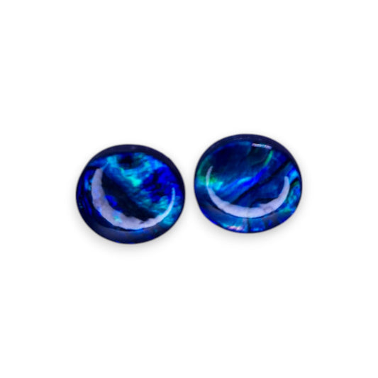 Silver Tone Plastic Classic Earrings