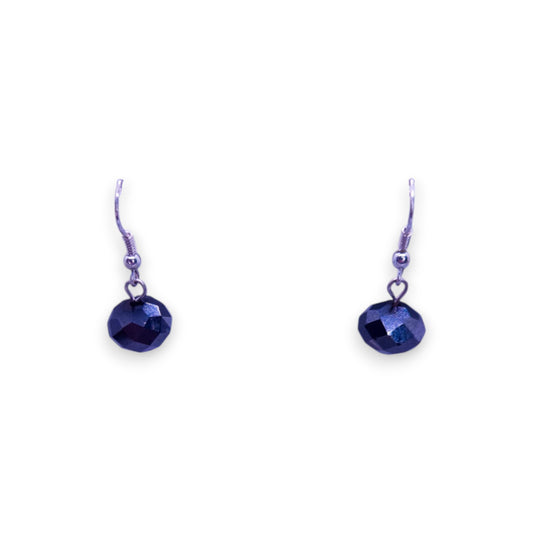 Silver Tone Classic Earrings
