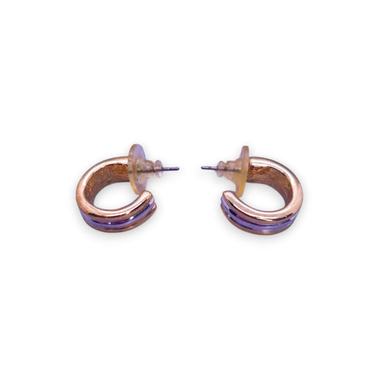 Gold & Silver Tone Classic Earrings